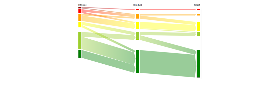 Risk data visualization